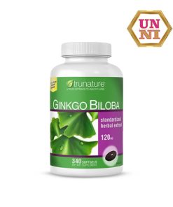 Viên uốn bổ nảo ginkgo bilabo 120mg