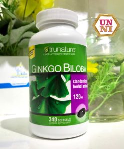 Viên uốn bổ nảo ginkgo bilabo 120mg